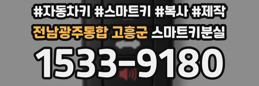 전남광주통합 고흥군 스마트키분실