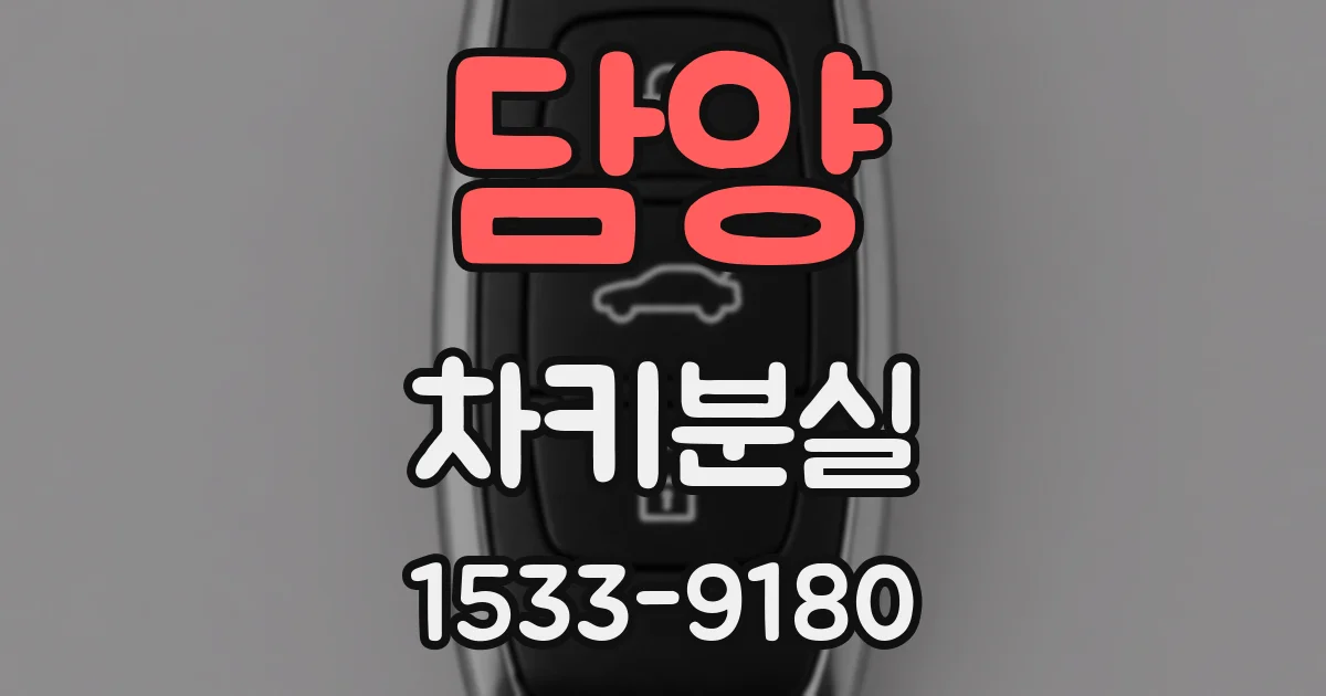담양 차키분실