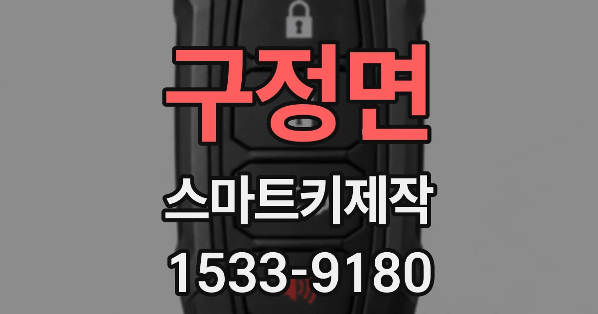 구정면 스마트키제작