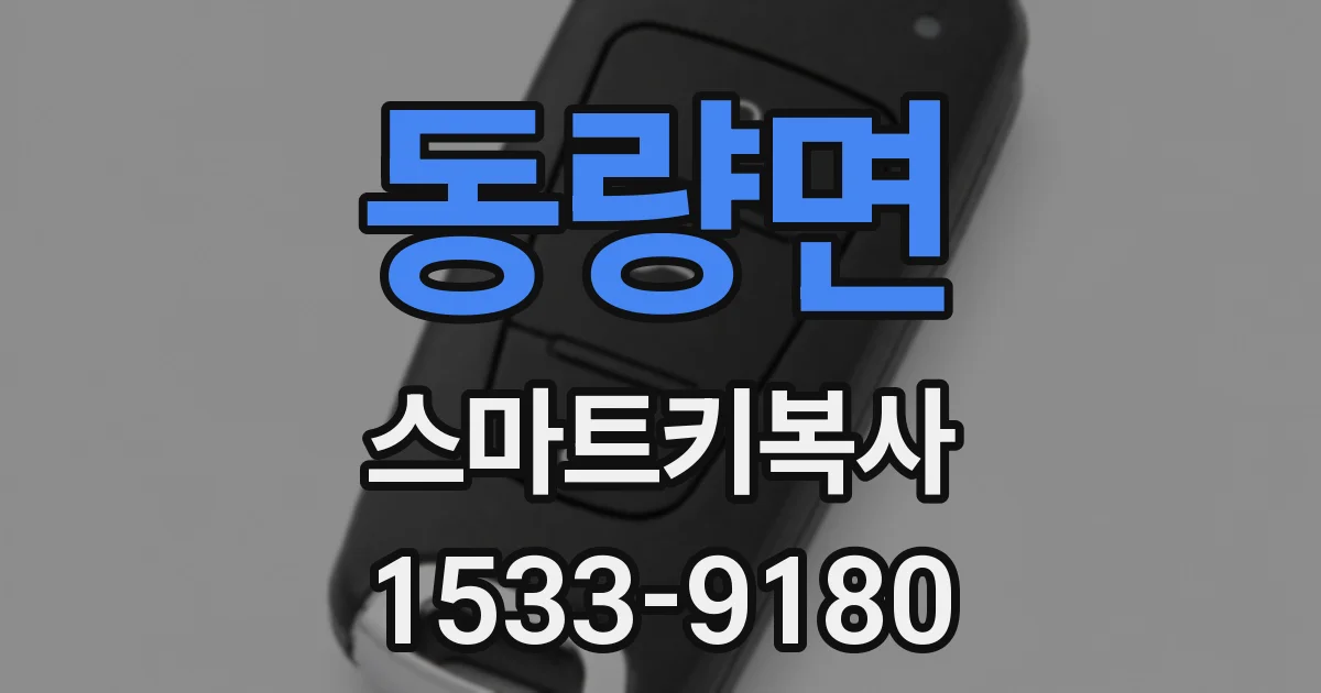 동량면 스마트키복사