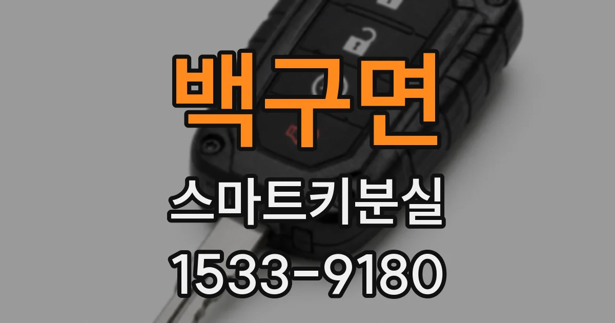 백구면 스마트키분실