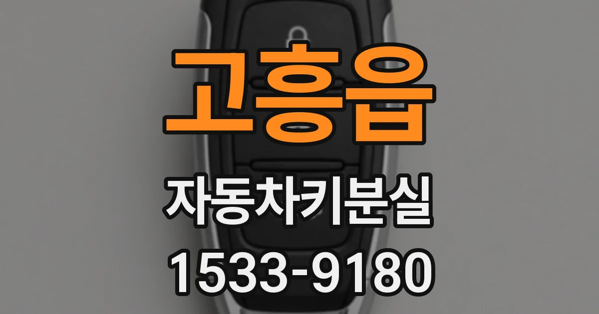 고흥읍 자동차키분실