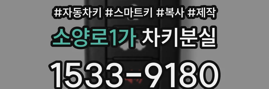 소양로1가 차키분실