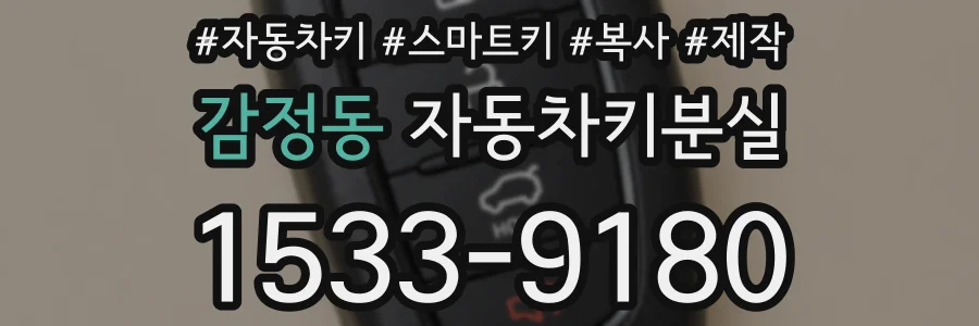 감정동 자동차키분실