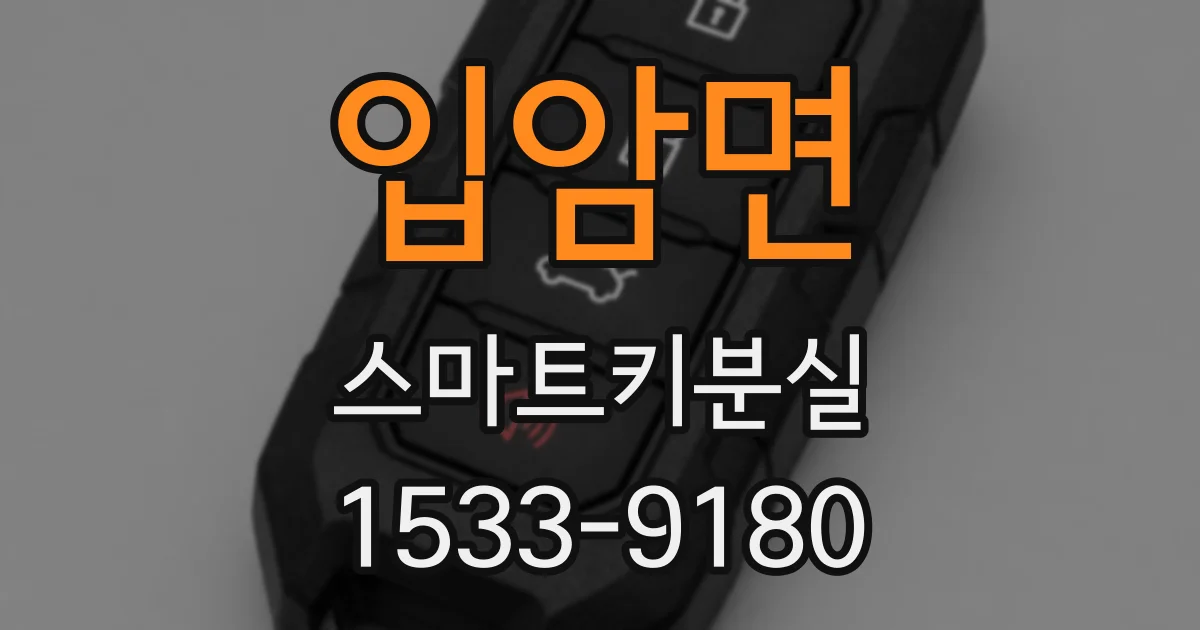 입암면 스마트키분실