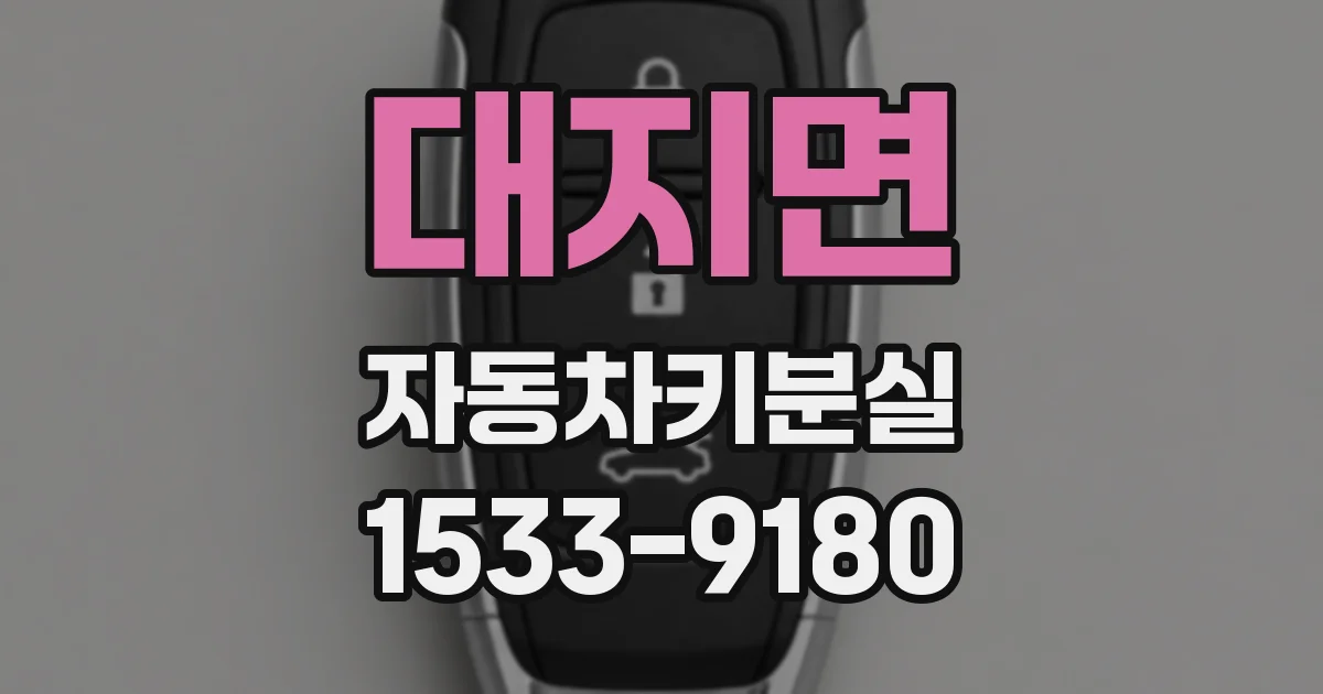 대지면 자동차키분실