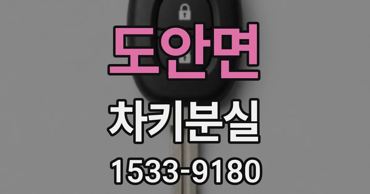 도안면 차키분실