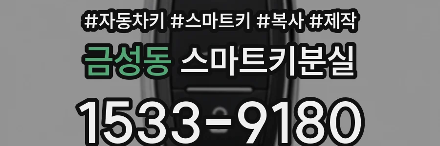 금성동 스마트키분실