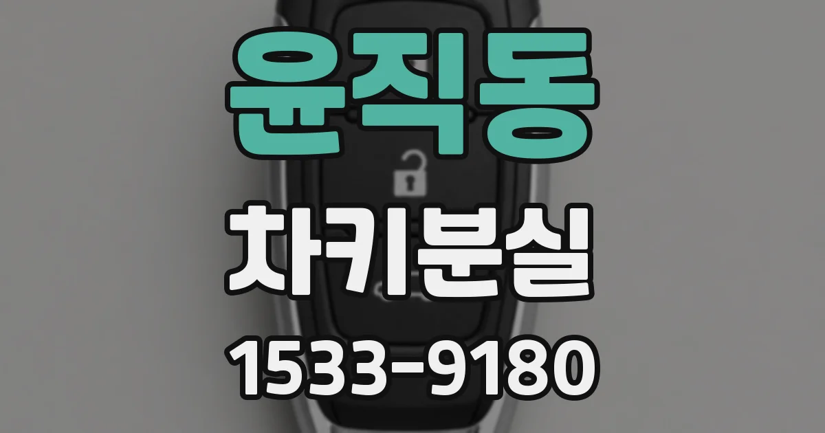 윤직동 차키분실