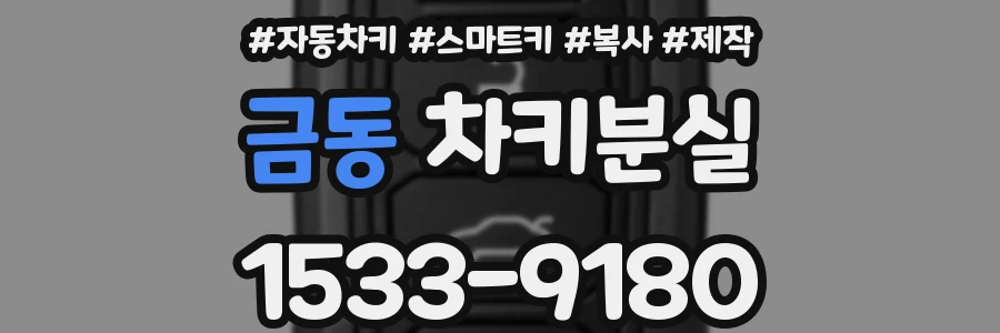 금동 차키분실