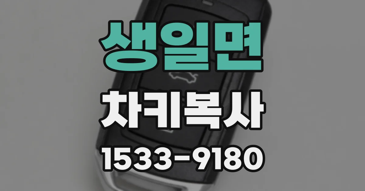 생일면 차키복사