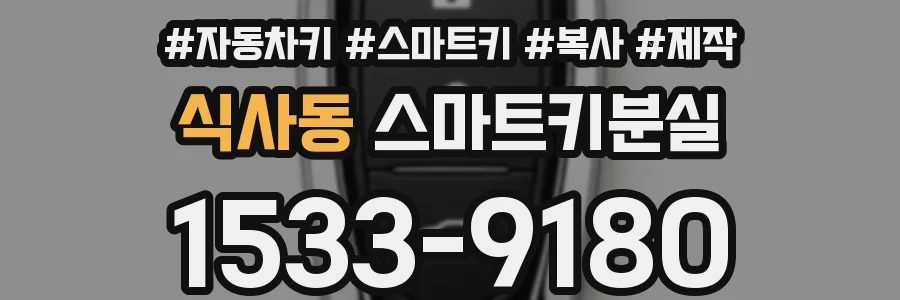 식사동 스마트키분실