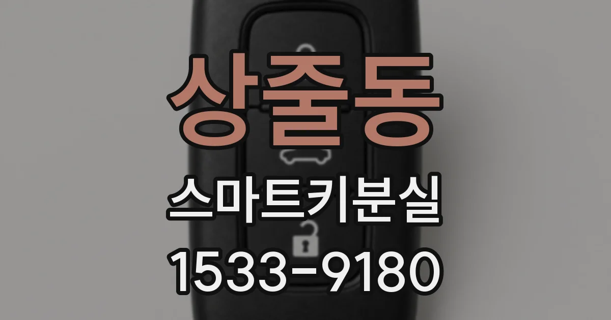 상줄동 스마트키분실