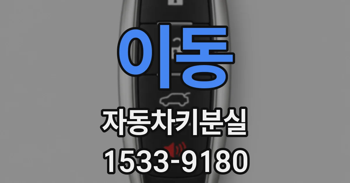 이동 자동차키분실