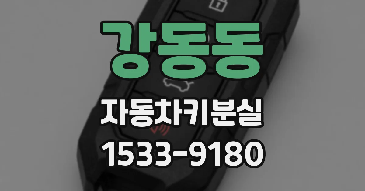 강동동 자동차키분실