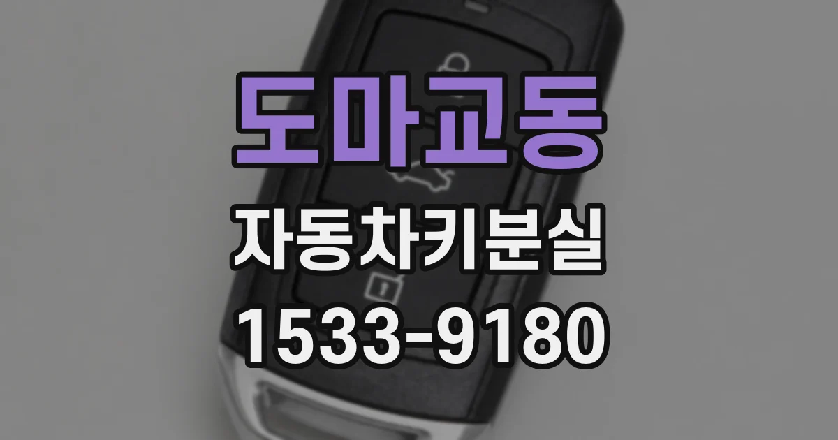 도마교동 자동차키분실