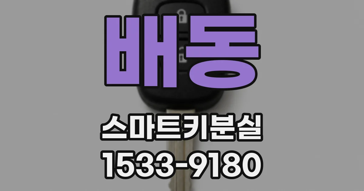 배동 스마트키분실