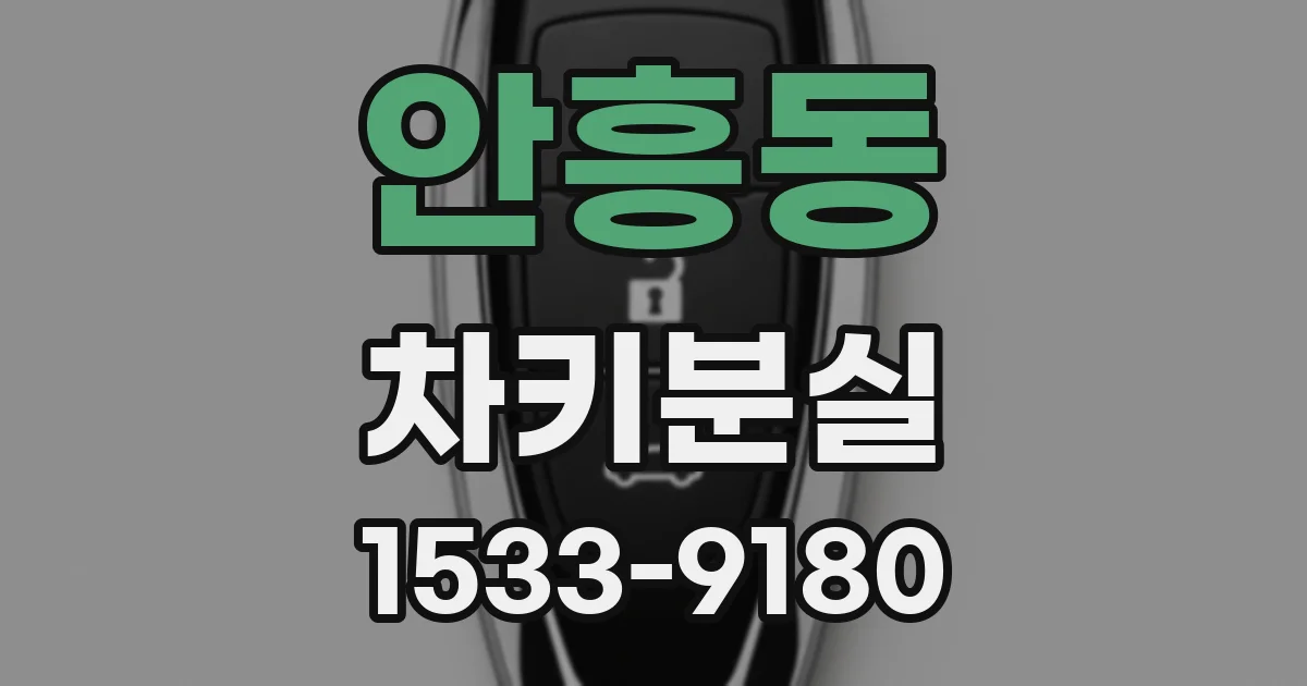 안흥동 차키분실