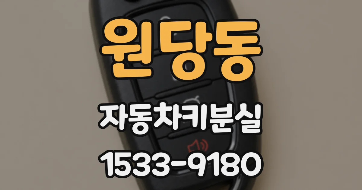 원당동 자동차키분실