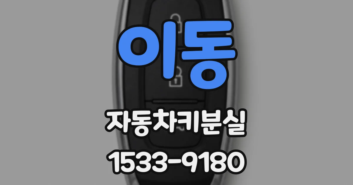 이동 자동차키분실