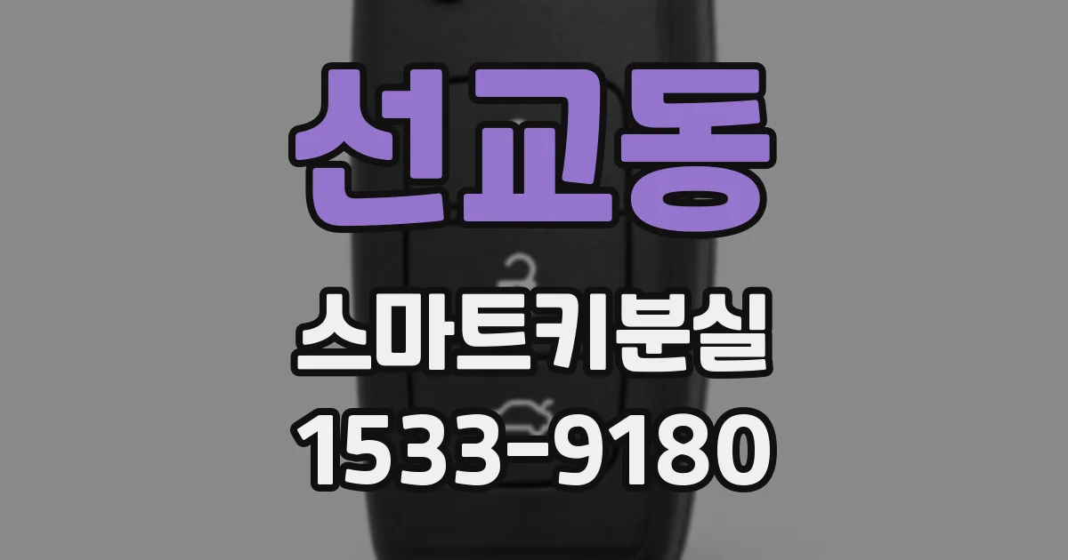 선교동 스마트키분실