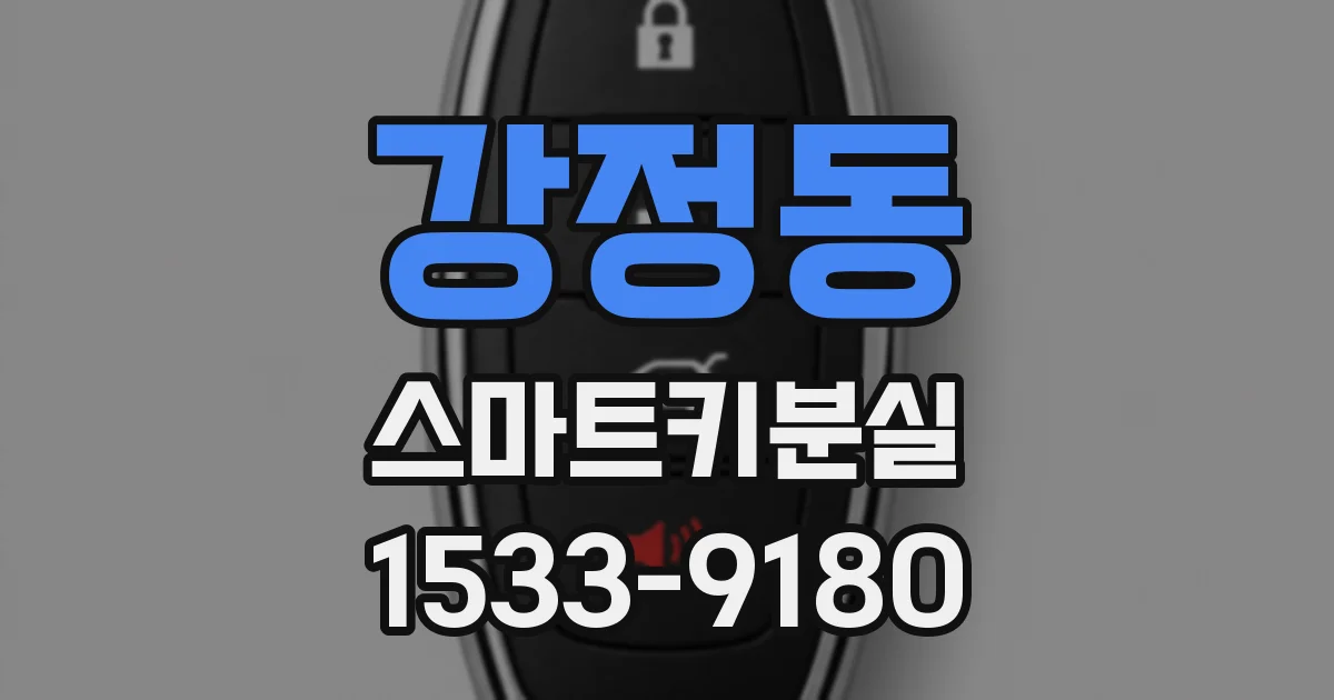 강정동 스마트키분실