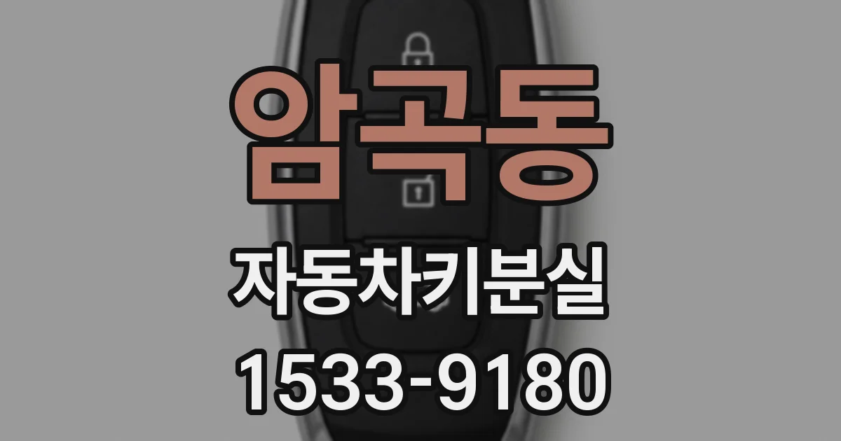 암곡동 자동차키분실