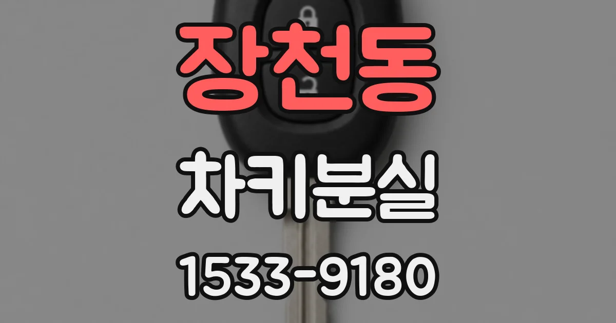 장천동 차키분실