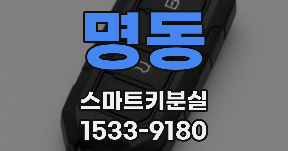 명동 스마트키분실