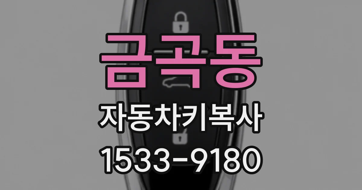 금곡동 자동차키복사