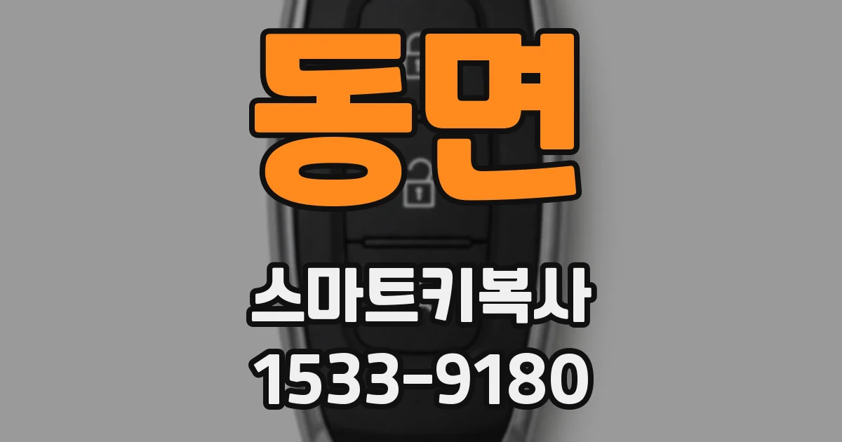 동면 스마트키복사