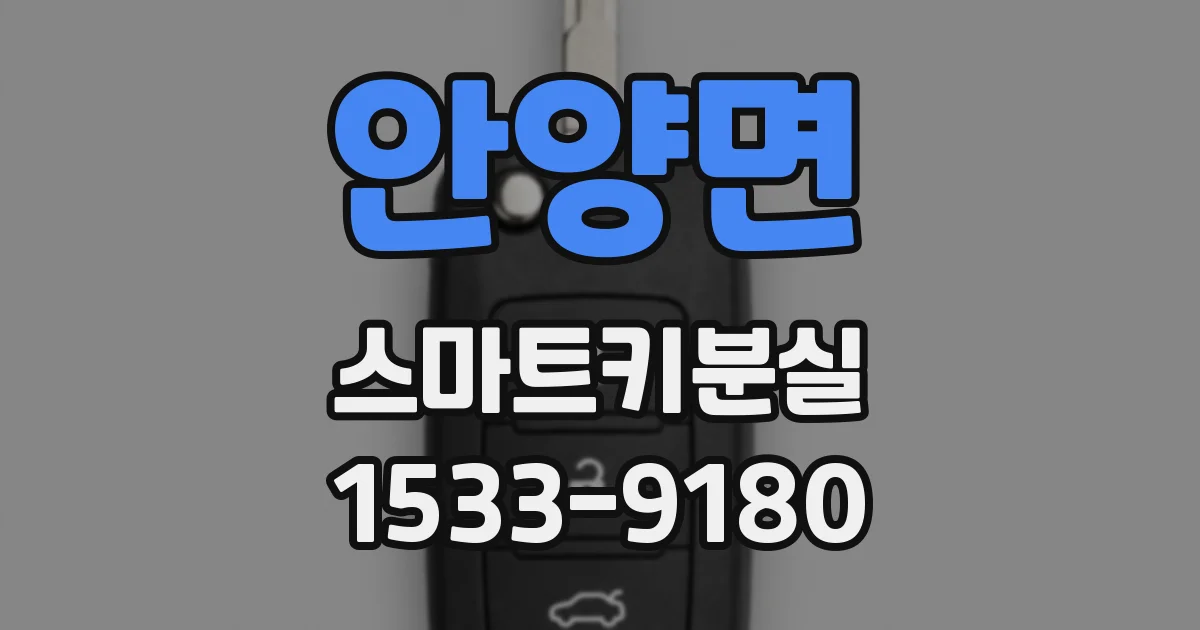 안양면 스마트키분실