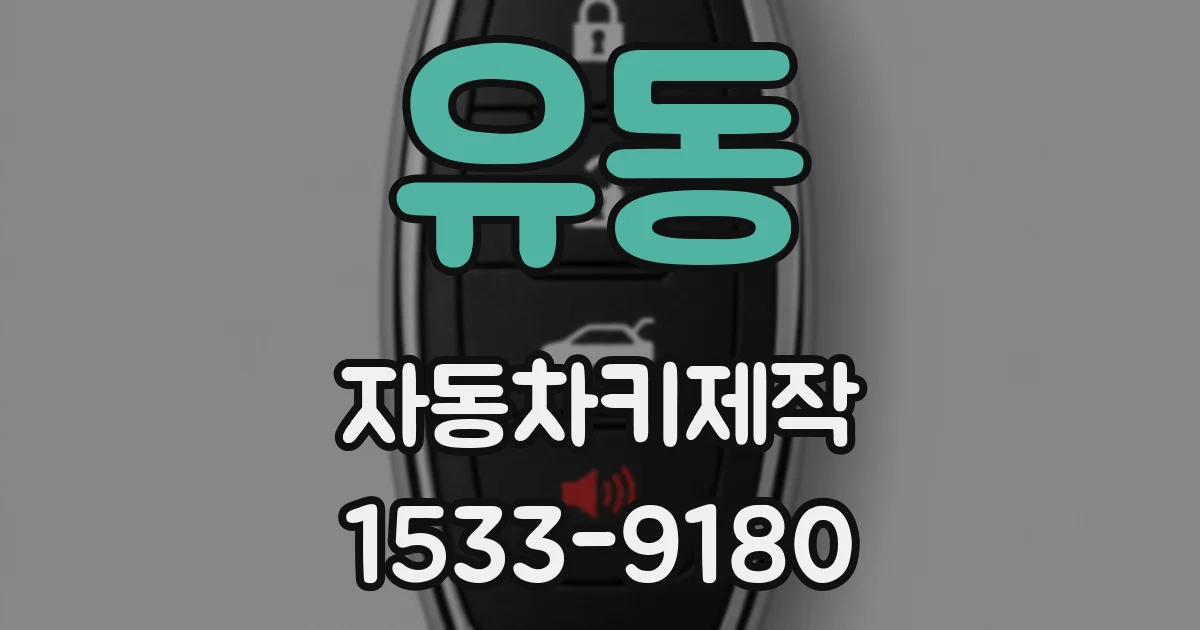 유동 자동차키제작