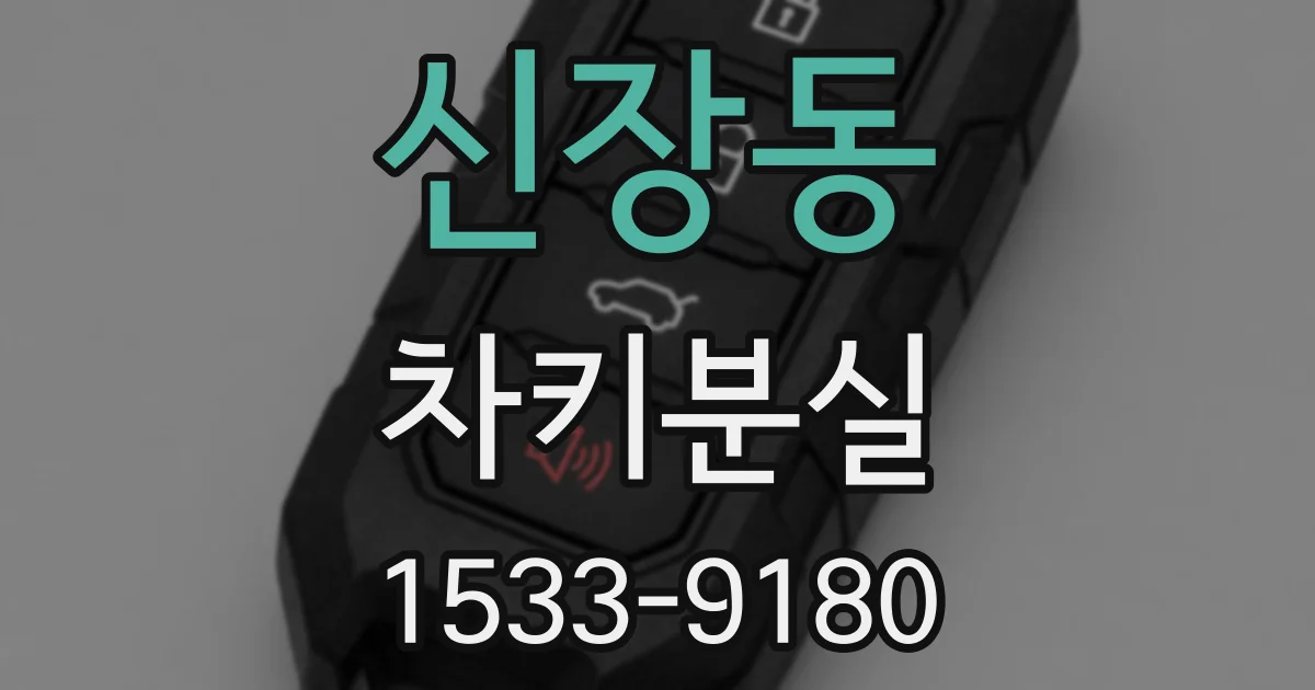 신장동 차키분실