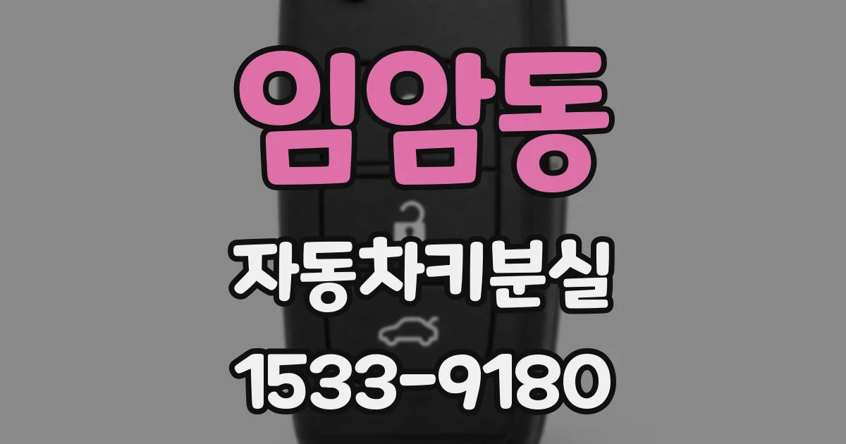 임암동 자동차키분실