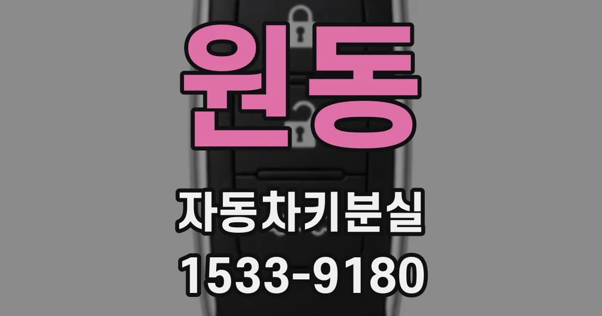 원동 자동차키분실