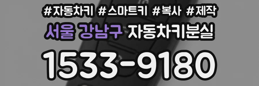 서울 강남구 자동차키분실