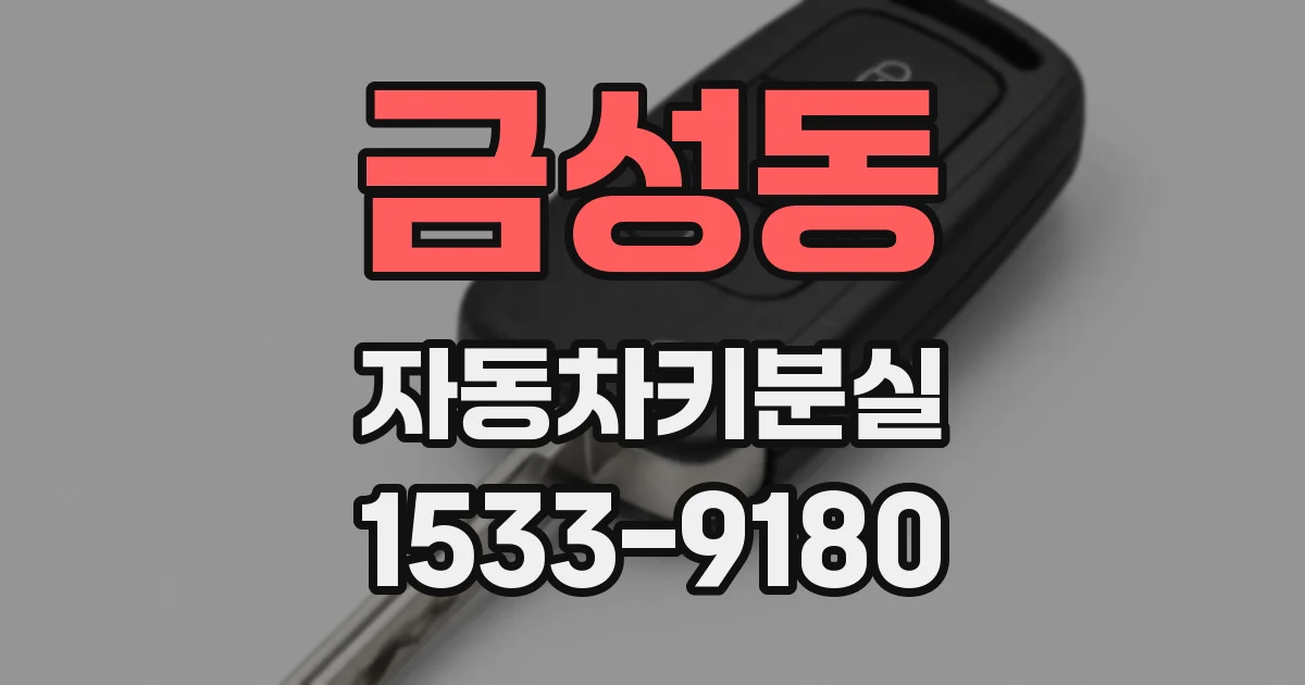 금성동 자동차키분실
