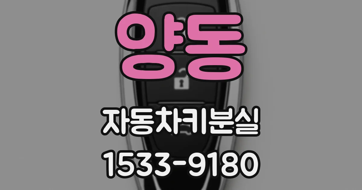 양동 자동차키분실