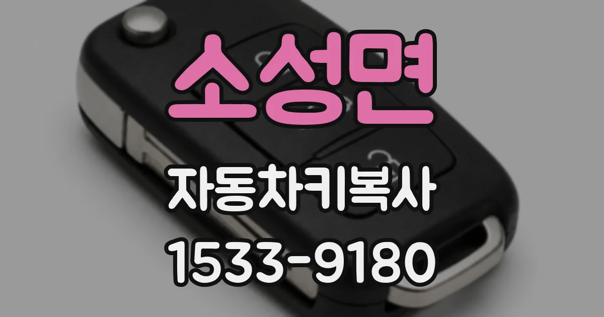 소성면 자동차키복사