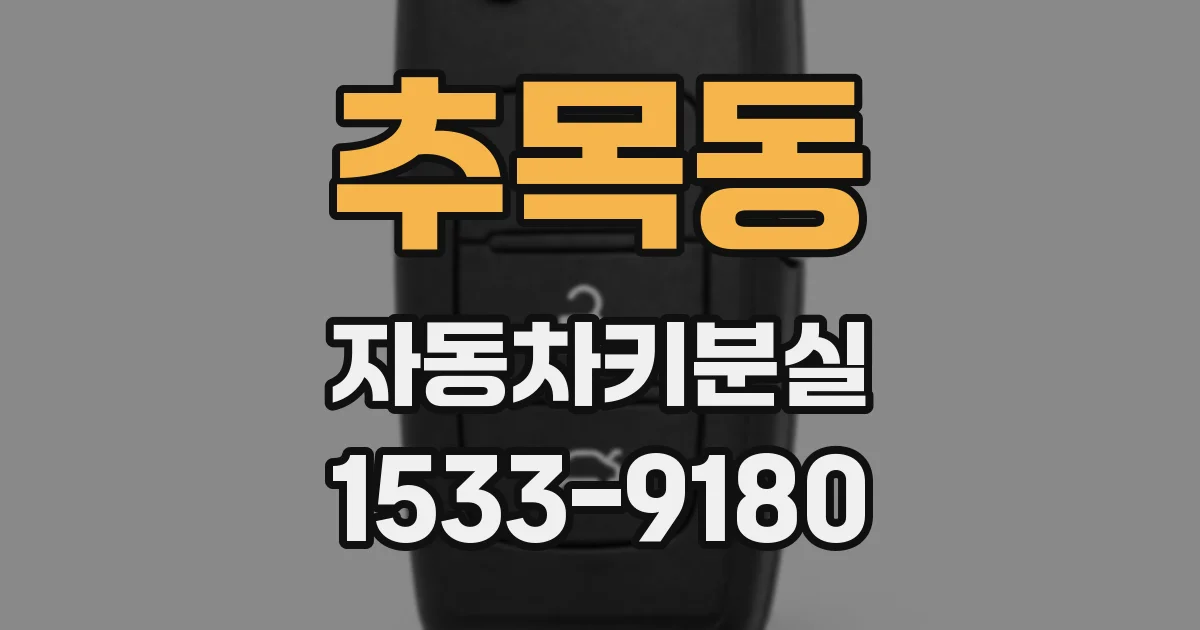 추목동 자동차키분실