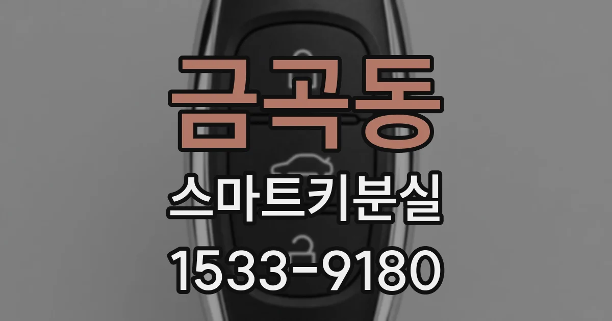 금곡동 스마트키분실