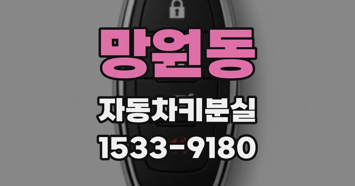 망원동 자동차키분실