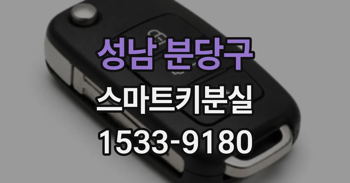 성남 분당구 스마트키분실