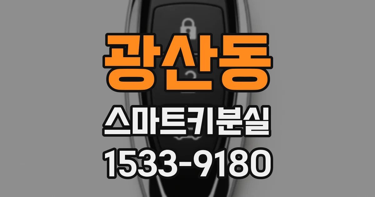 광산동 스마트키분실