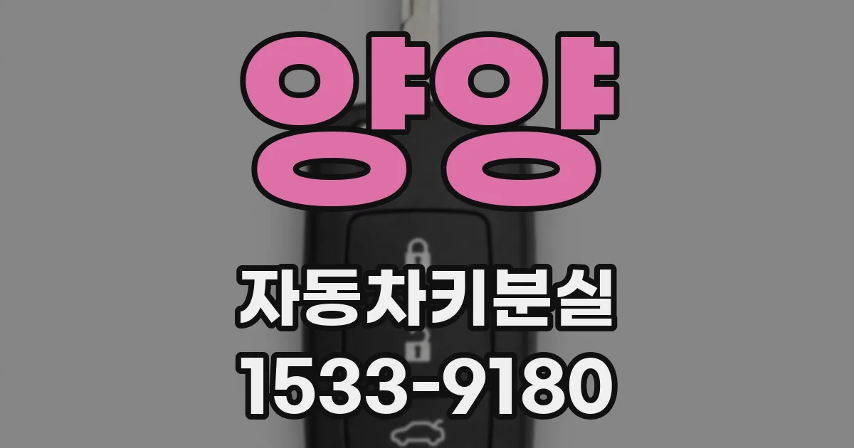 양양 자동차키분실