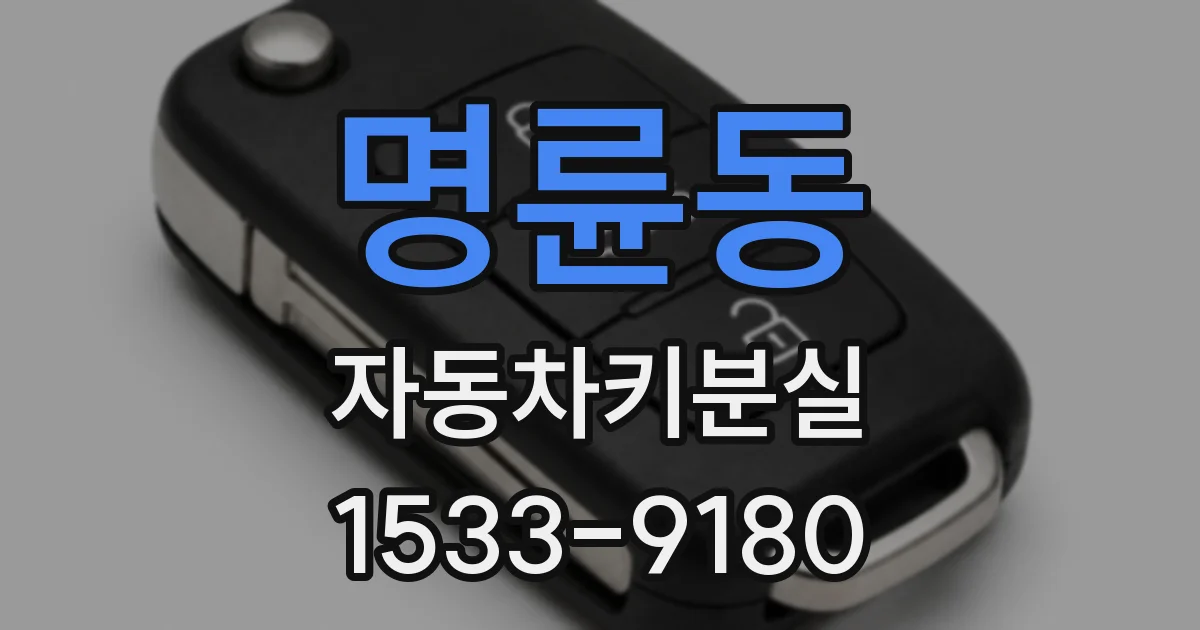 명륜동 자동차키분실
