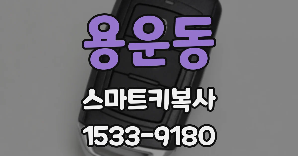용운동 스마트키복사