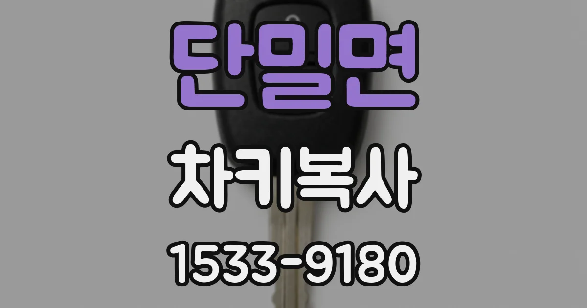 단밀면 차키복사