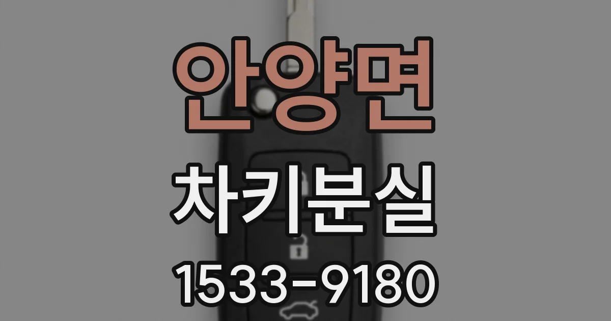 안양면 차키분실